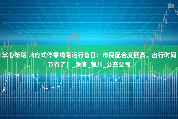掌心策略 响应式停靠线路运行首日：市民配合度挺高，出行时间节省了！_乘客_银川_公交公司