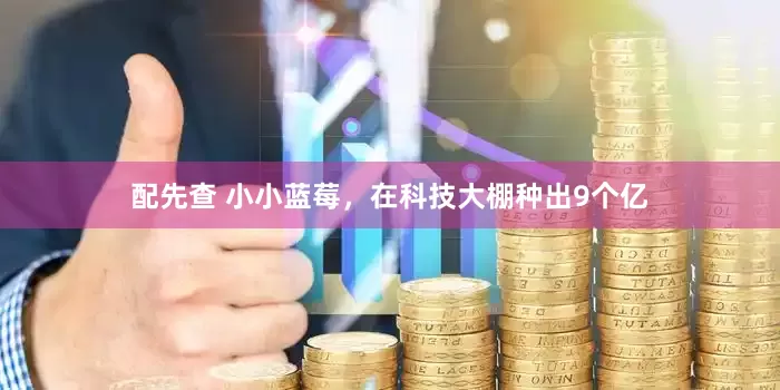 配先查 小小蓝莓，在科技大棚种出9个亿