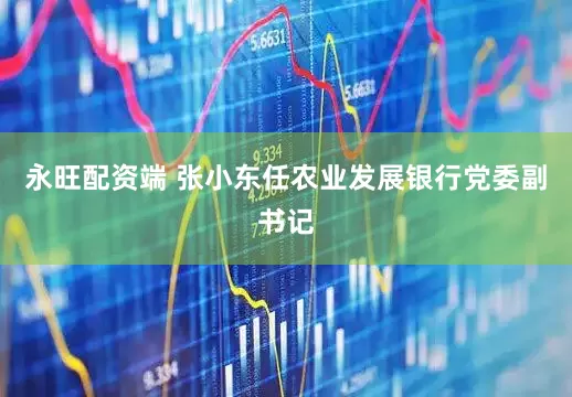 永旺配资端 张小东任农业发展银行党委副书记