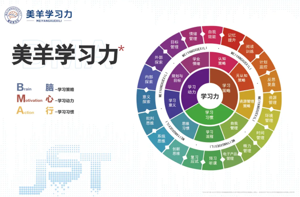欧维策略 学员分享 | 一场与学习力的双向奔赴：从怀疑到笃信的教育觉醒之路