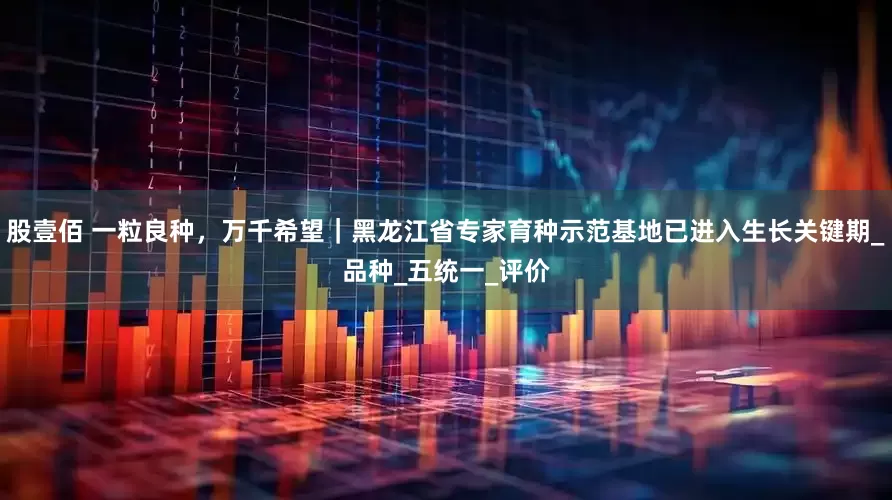 股壹佰 一粒良种，万千希望｜黑龙江省专家育种示范基地已进入生长关键期_品种_五统一_评价