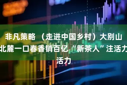 非凡策略 （走进中国乡村）大别山北麓一口春香销百亿 “新茶人”注活力